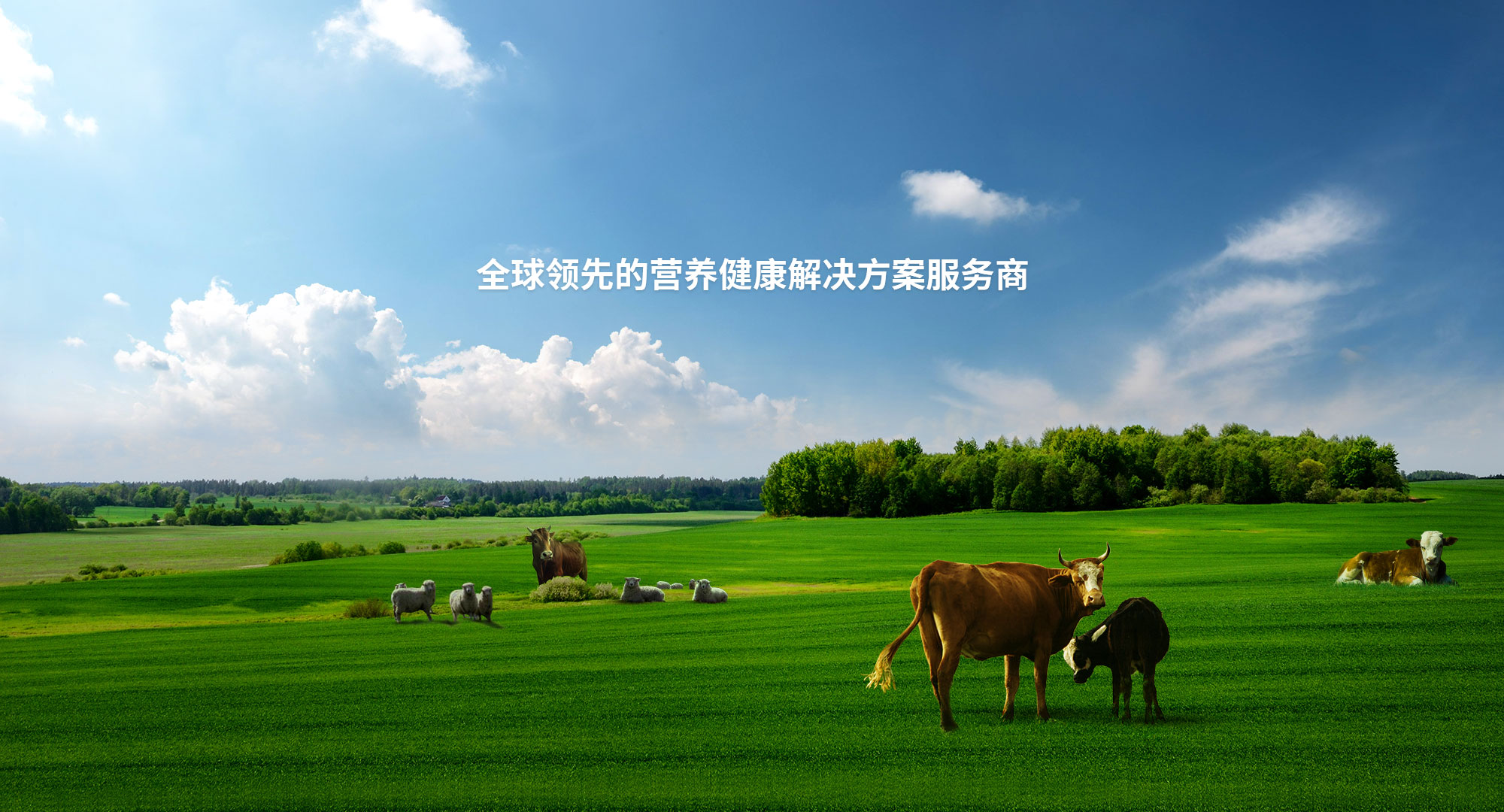 濰坊華德真空工業爐制造有限公司